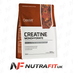 Ostrovit Creatine Monohydrate Powder 300 g