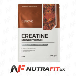 Ostrovit Creatine Monohydrate Powder 300 g
