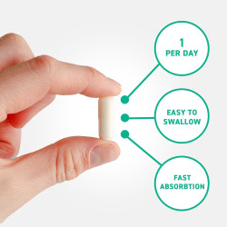 Applied Nutrition Multivitamin Complex 90 Caps Applied Nutrition Multivitamin Complex 90 Caps