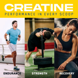 Applied Nutrition Creatine + Peptide Powder 444g Applied Nutrition Creatine + Peptide Powder 444g