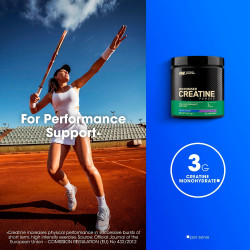 Optimum Nutrition Micronised Creatine Powder Optimum Nutrition Micronised Creatine Powder