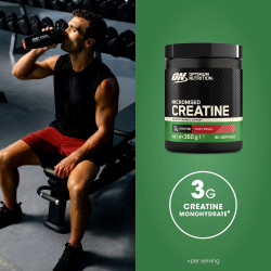 Optimum Nutrition Micronised Creatine Powder Optimum Nutrition Micronised Creatine Powder